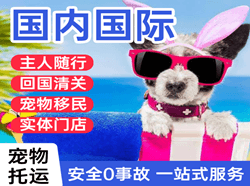怀化芷江空运代理国际宠物托运 【国